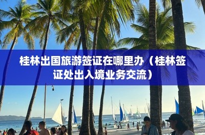 桂林出国旅游签证在哪里办(桂林签证处出入境业务交流)